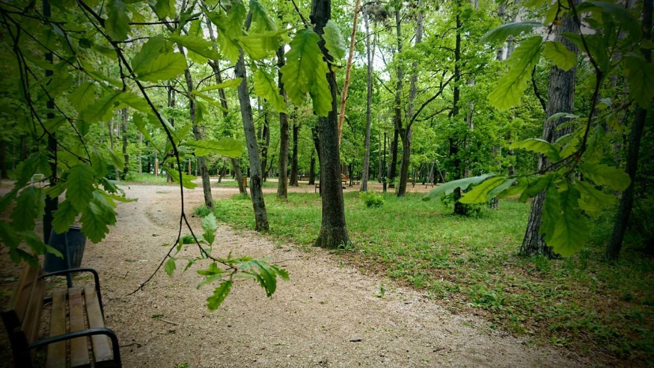 Отель Balatonair Vendeghaz Балатонфюред Экстерьер фото